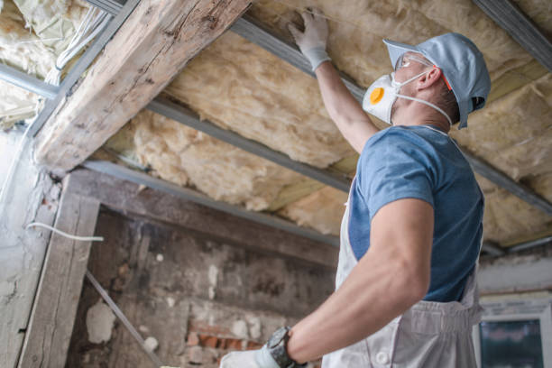 Best Insulation Installation Services in Orchard Mesa, CO