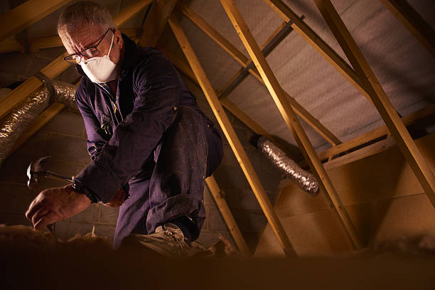 Best Commercial Insulation in Orchard Mesa, CO